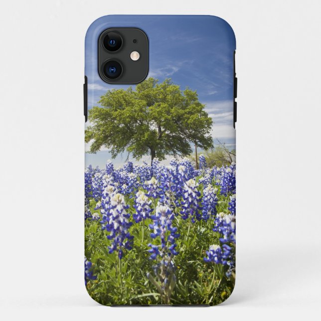 Capa Para iPhone 11 Texas bluebonnets(lupinus texensis) e carvalho (Verso)
