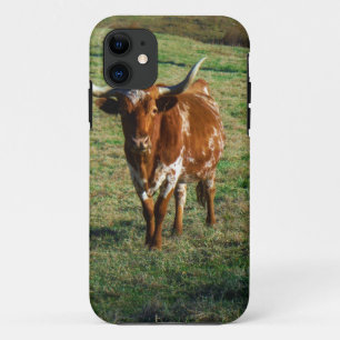 Capa Para iPhone 11 Texas Longhorn Cattle Cattle Photo Rustic