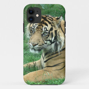 Capa Para iPhone 11 Tigre de Sumatra no iPhone 5 mal lá