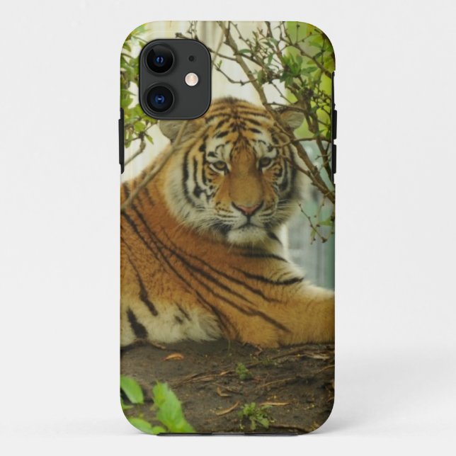 Capa Para iPhone 11 Tigre na floresta (Verso)