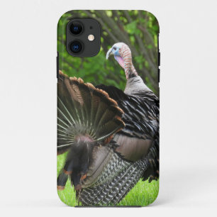 Capa Para iPhone 11 Tom Turkey Feather Display