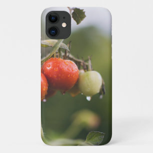 Capa Para iPhone 11 tomate molhado na vinha