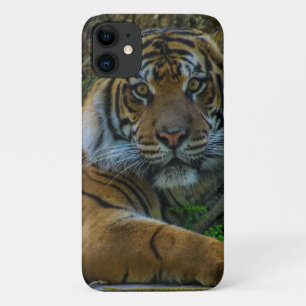 Capa Para iPhone 11 tony