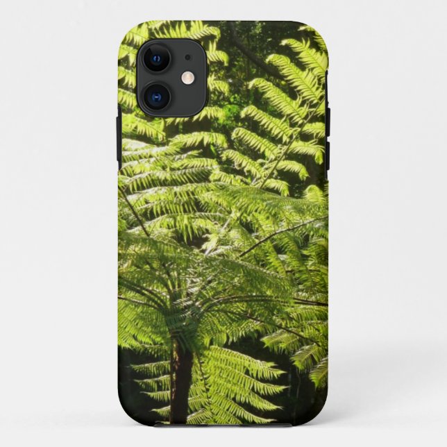 Capa Para iPhone 11 Tree Fern na Floresta Tropical (Verso)
