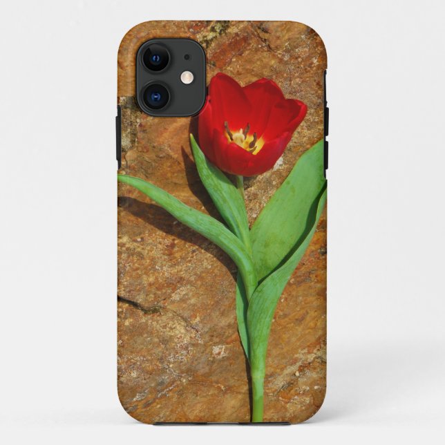 Capa Para iPhone 11 Tulipa Amarela e Vermelha (Verso)