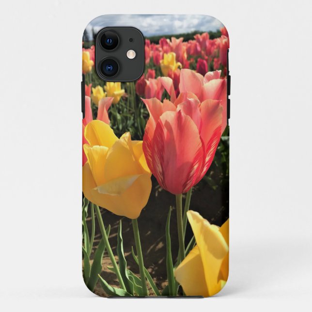 Capa Para iPhone 11 Tulipas bonito de Primavera em campo, Oregon (Verso)