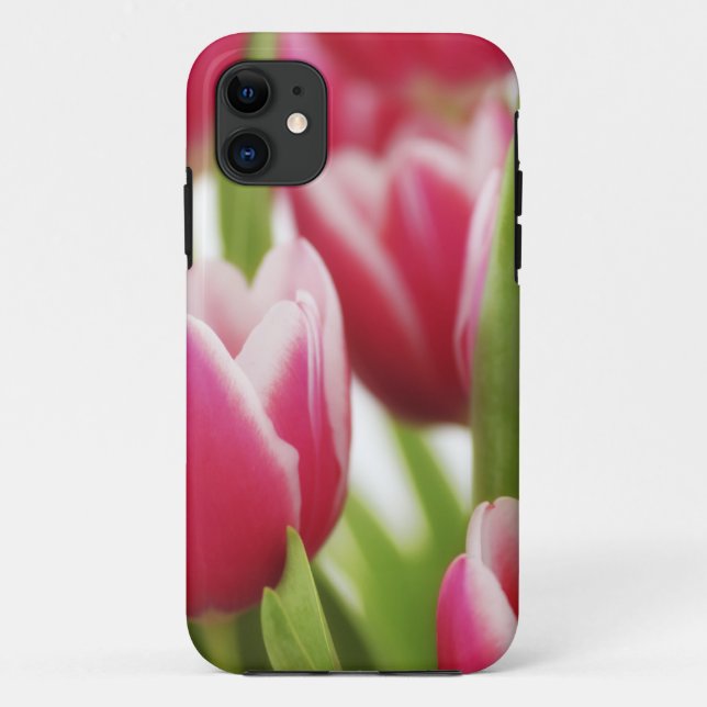 Capa Para iPhone 11 Tulipas cor-de-rosa (Verso)