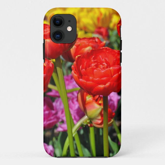 Capa Para iPhone 11 Tulipas duplas vermelhas (Verso)