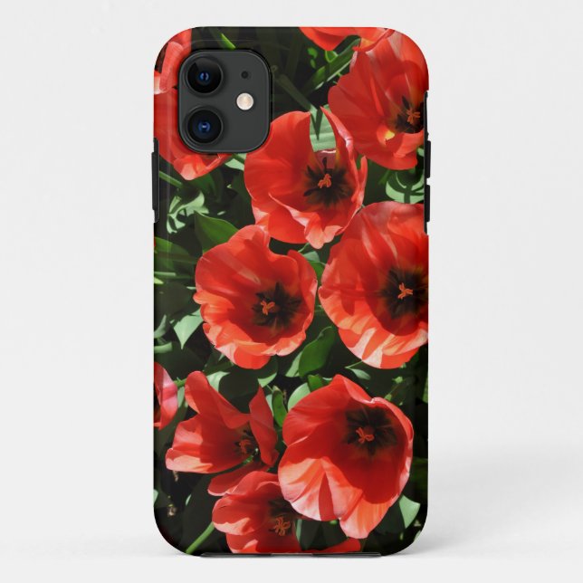 Capa Para iPhone 11 Tulipas primavera vermelhas (Verso)