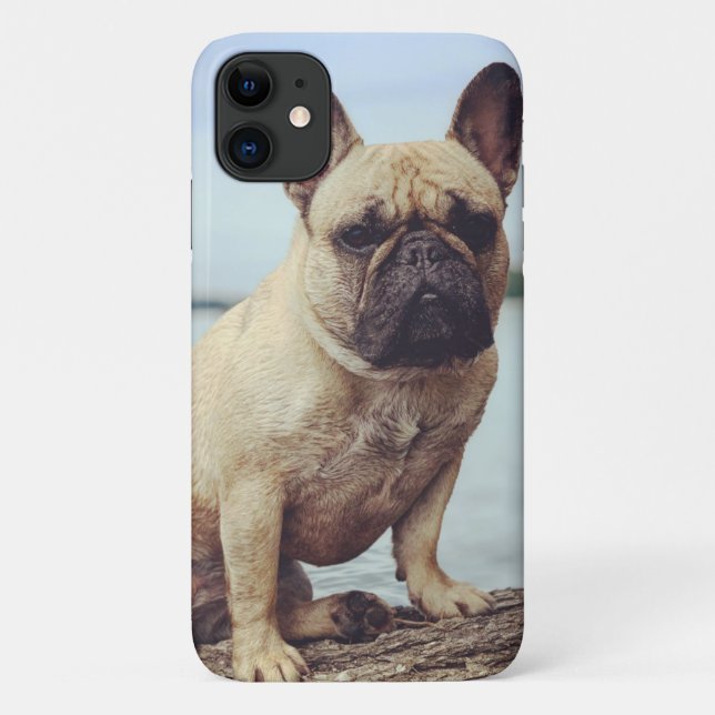 Capa Para iPhone 11 Um Bulldog Francês (Verso)