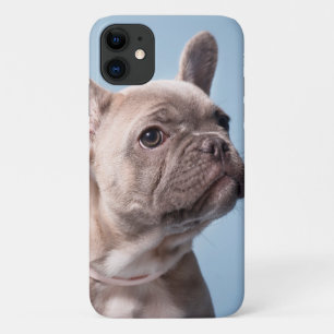 Capa Para iPhone 11 Um Bulldog Francês