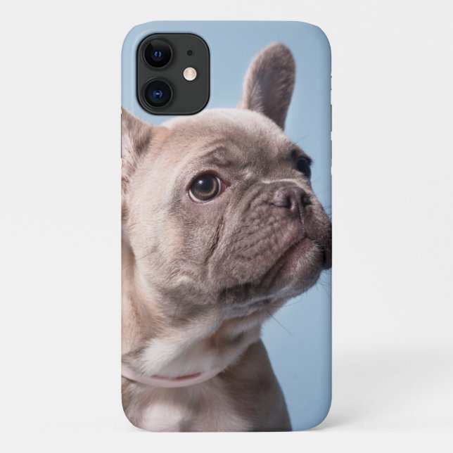 Capa Para iPhone 11 Um Bulldog Francês (Verso)