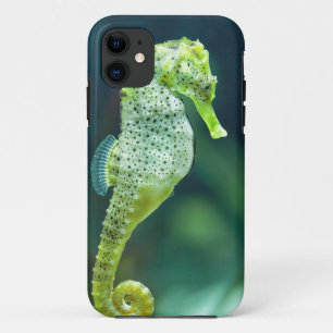 Capa Para iPhone 11 Um cavalo marinho bonito de Knysna