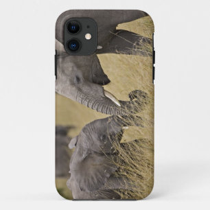 Capa Para iPhone 11 Um Elefante Africano a pastorear nos campos