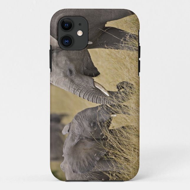 Capa Para iPhone 11 Um elefante africano pastando nos campos (Verso)