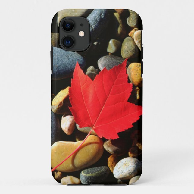 Capa Para iPhone 11 Uma folha de bordo em um fundo de rocha (Verso)