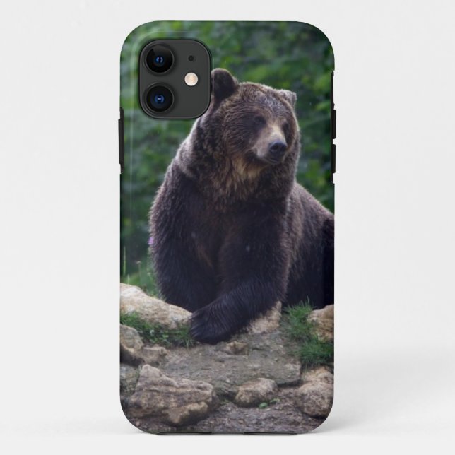 Capa Para iPhone 11 Urso castanho (Verso)