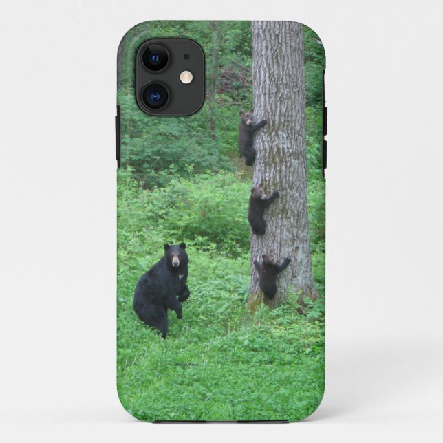 Capa Para iPhone 11 Urso e Três Cubos (Verso)