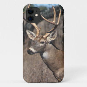 Capa Para iPhone 11 Veado Branco - Cobrir iPhone 5