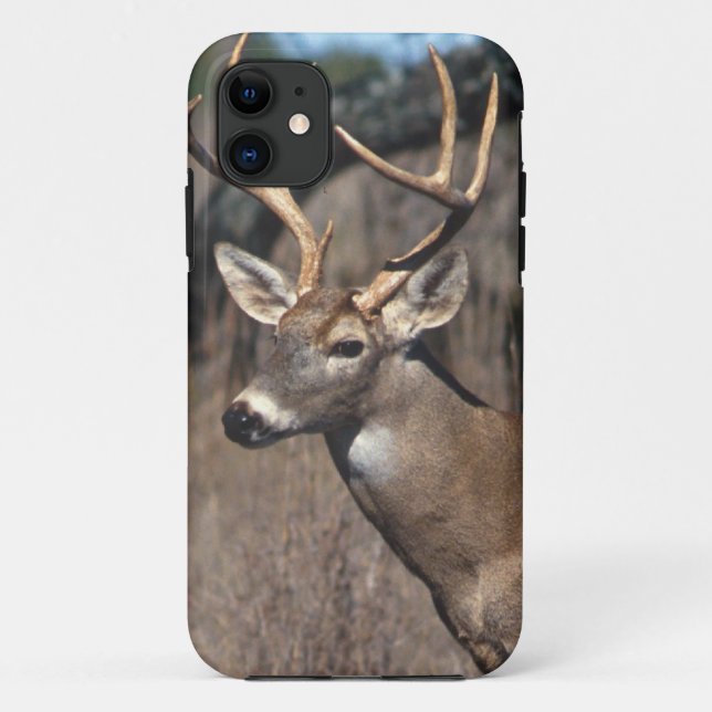 Capa Para iPhone 11 Veado Branco - Cobrir iPhone 5 (Verso)