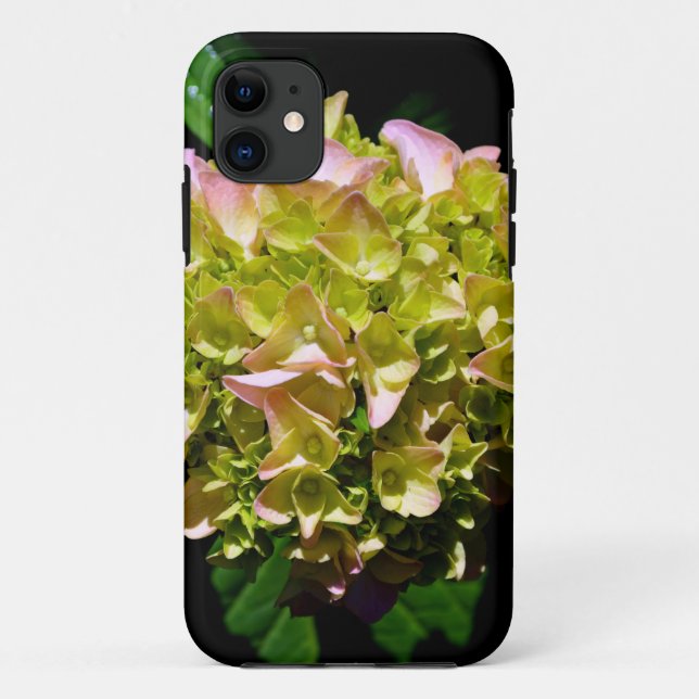 Capa Para iPhone 11 Vermelhos amarelos amarelos claros Flores hidrange (Verso)