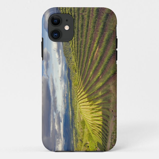 Capa Para iPhone 11 Vineyard. Vale Napa. Napa. Condado de Napa, (Verso)