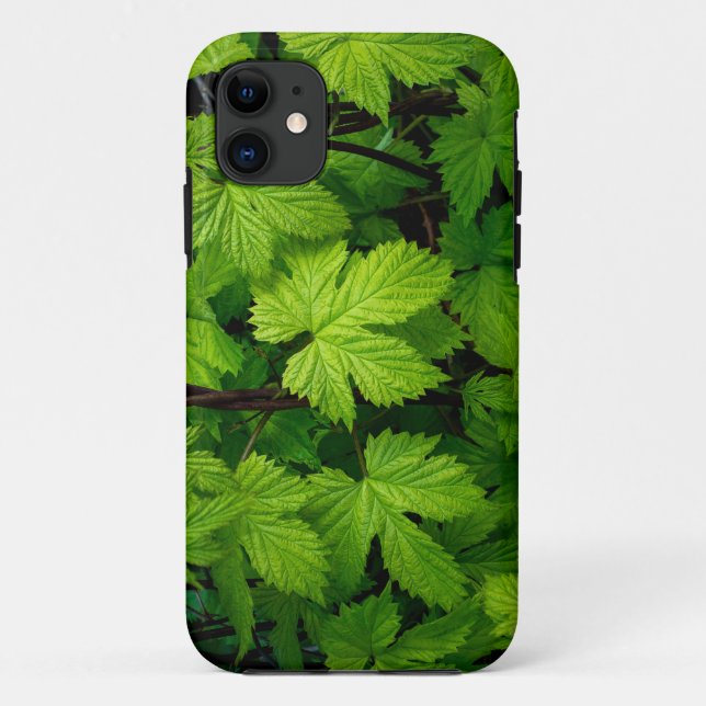 Capa Para iPhone 11 Vinhas verdes beleza natural (Verso)