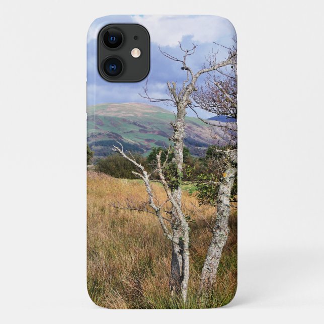 CAPA PARA iPhone 11 VISTAS DO PAÍS DE GALES (Verso)