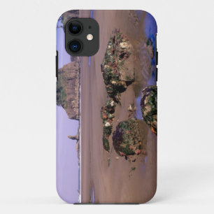 Capa Para iPhone 11 WA, Parque Nacional Olímpico, Segunda Praia com po
