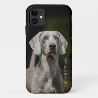 Capa Para iPhone 11 Weimaraner