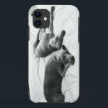 Capa Para iPhone 11 Weimaraners preguiçoso<br><div class="desc">Se você amou nunca um Weim,  você não precisa nenhuma explicação…</div>