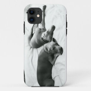 Capa Para iPhone 11 Weimaraners preguiçoso