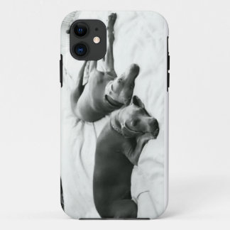 Capa Para iPhone 11 Weimaraners preguiçoso