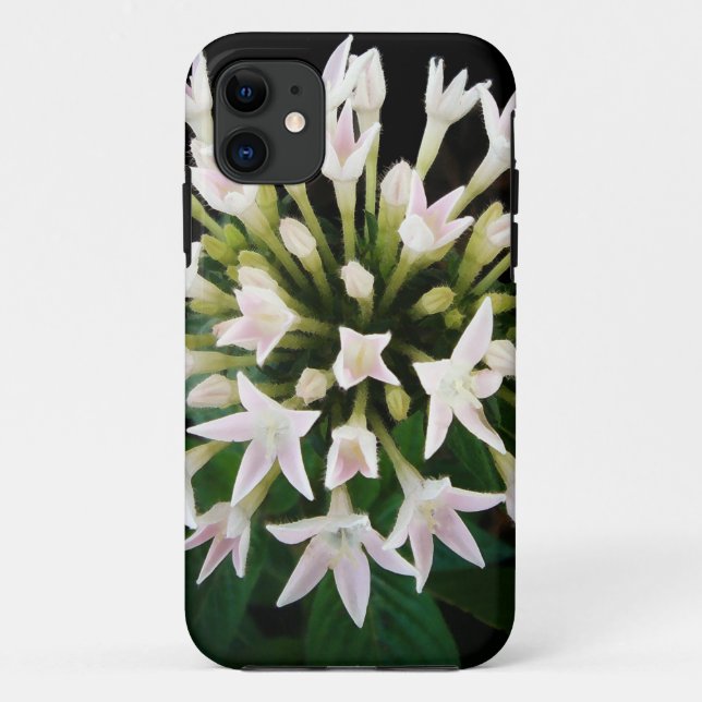 Capa Para iPhone 11 White Pentas (Verso)