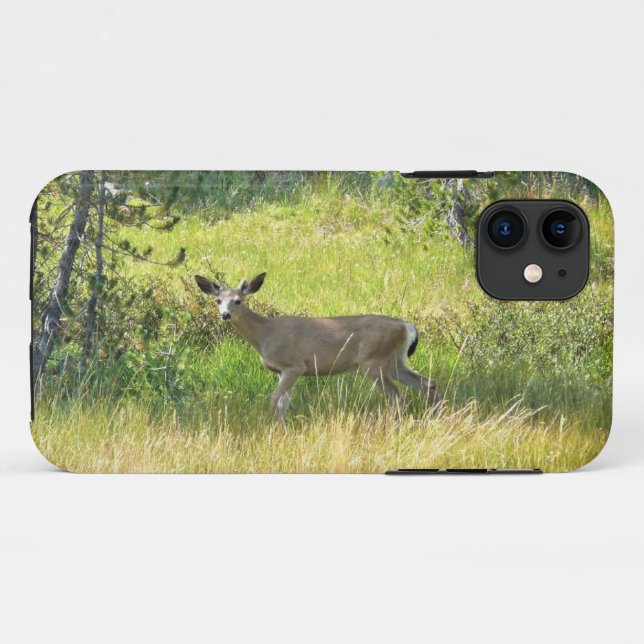 Capa Para iPhone 11 Young Buck em Yosemite, Califórnia (Verso (horizontal))