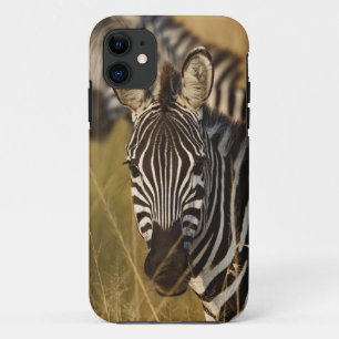 Capa Para iPhone 11 Zebra de Burchell em grama alta de verão, Masai