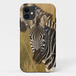 Capa Para iPhone 11 Zebra de Burchell no capim alto de verão, Masai