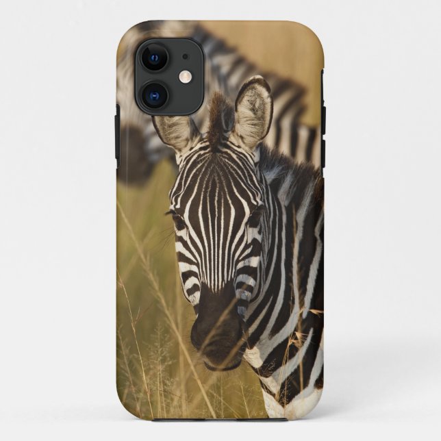 Capa Para iPhone 11 Zebra de Burchell no capim alto de verão, Masai (Verso)