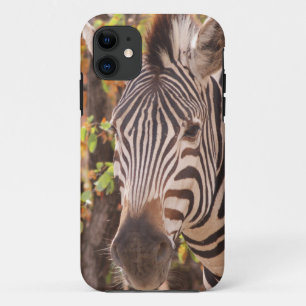 Capa Para iPhone 11 Zebra em uma floresta mopani