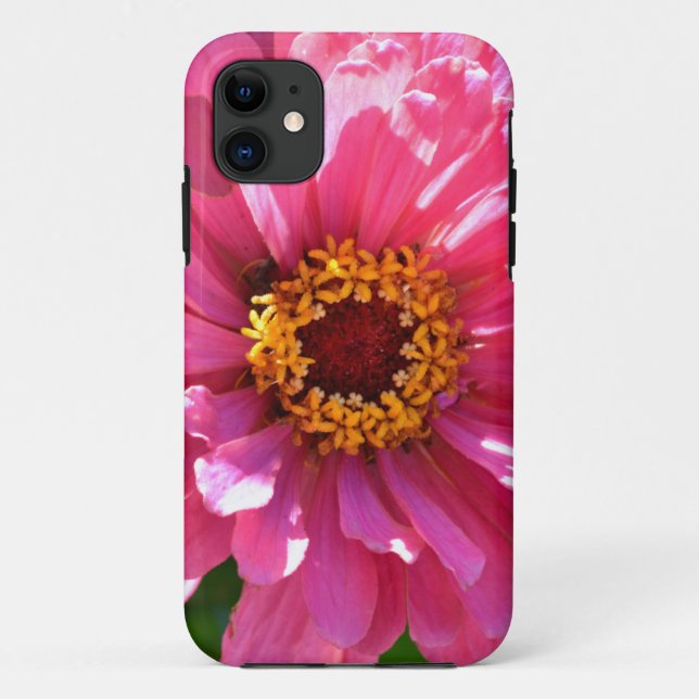 Capa Para iPhone 11 Zinnia Rosa (Verso)
