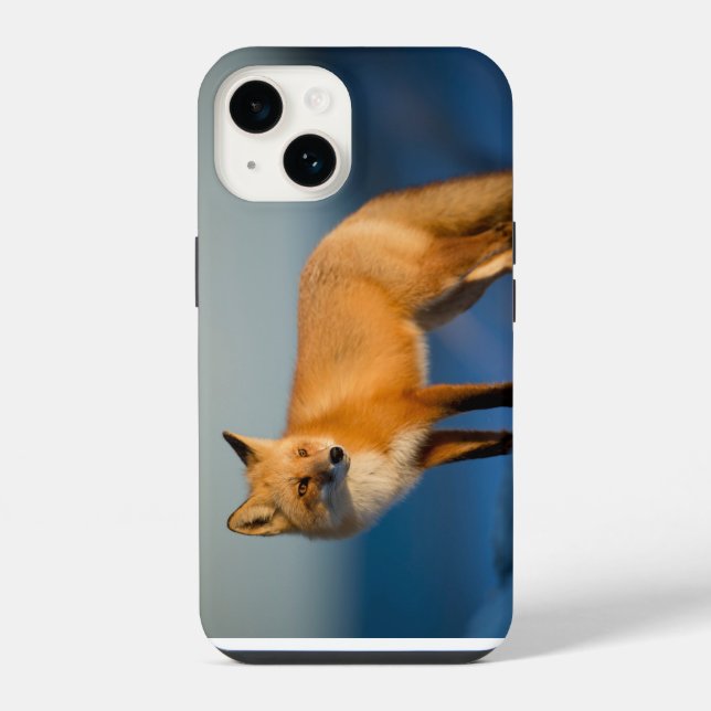 Capa para iPhone 14 da Raposa Marrom (Verso)