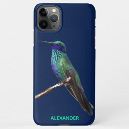 Capa Para iPhone $ 9,50 GABINETE Personalizado de Pássaro Azul