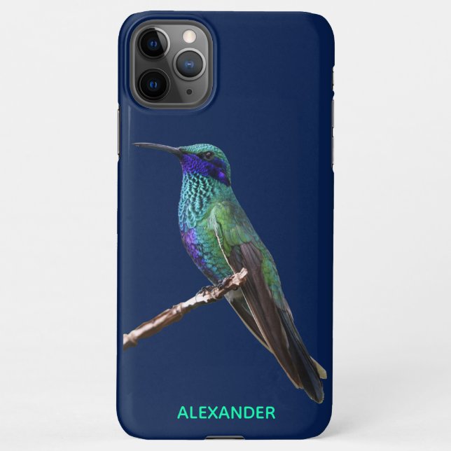 Capa Para iPhone $ 9,50 GABINETE Personalizado de Pássaro Azul (Verso)