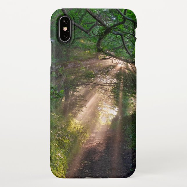 Capa Para iPhone Caminho da Floresta (Verso)