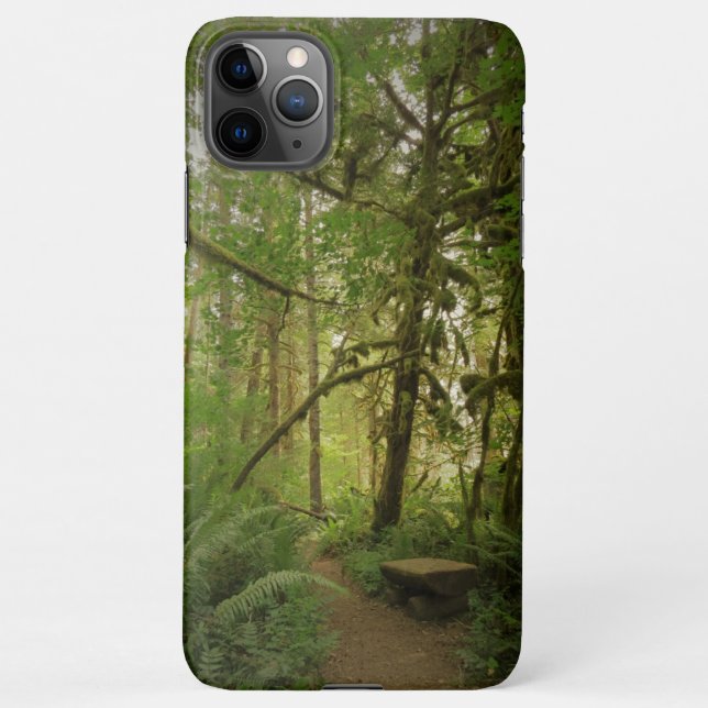 Capa Para iPhone Caminho da Floresta Verde Pacífica em Washington (Verso)