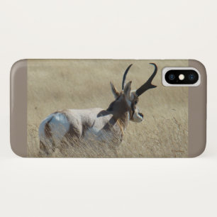 Capa Para iPhone Da Case-Mate A14 Antílope Americano Bicho Sol