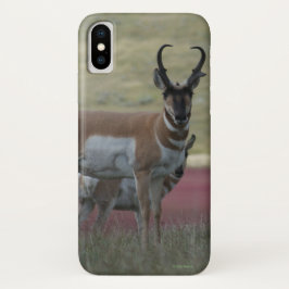 Capa Para iPhone X A24 Pronghorn Antelope