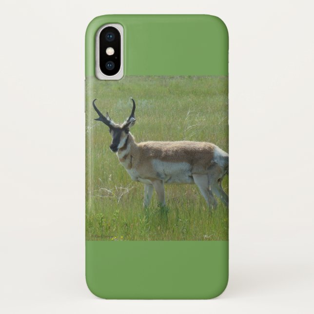 Capa Para iPhone, Case-Mate A36 Pronghorn Antelope (Verso)