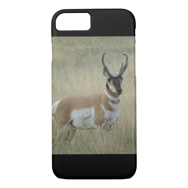 Capa Para iPhone, Case-Mate A8 Pronghorn Antelope Buck (Verso)