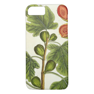 Capa Para iPhone Da Case-Mate A árvore de figo, chapeia 125 "de um erval